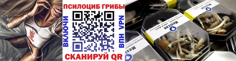 Галлюциногенные грибы Cubensis  Рославль 