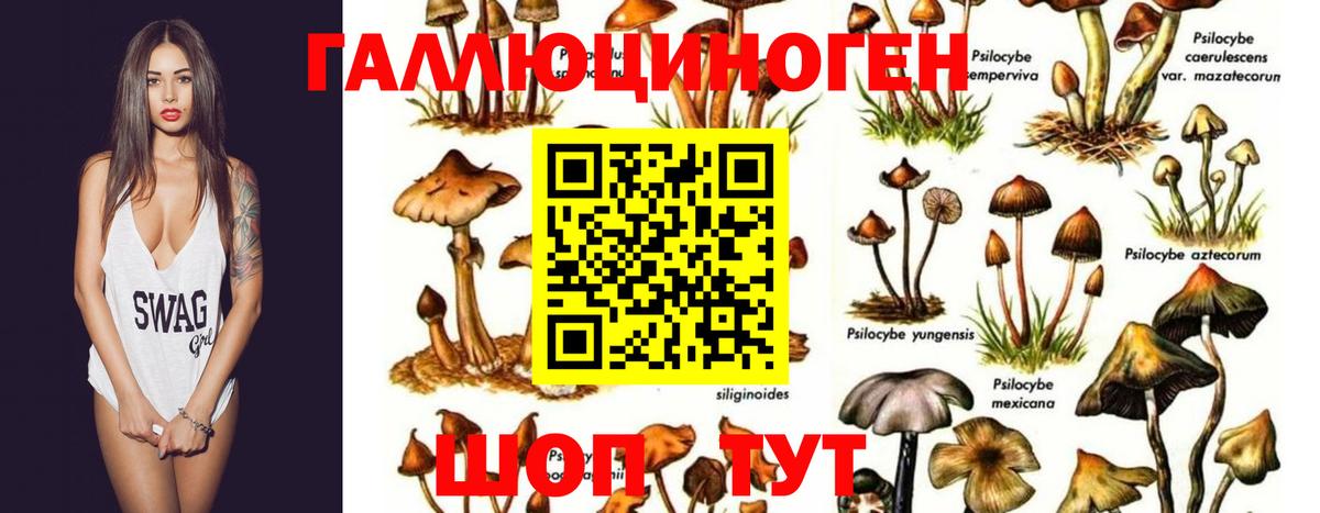Галлюциногенные грибы ЛСД Рославль
